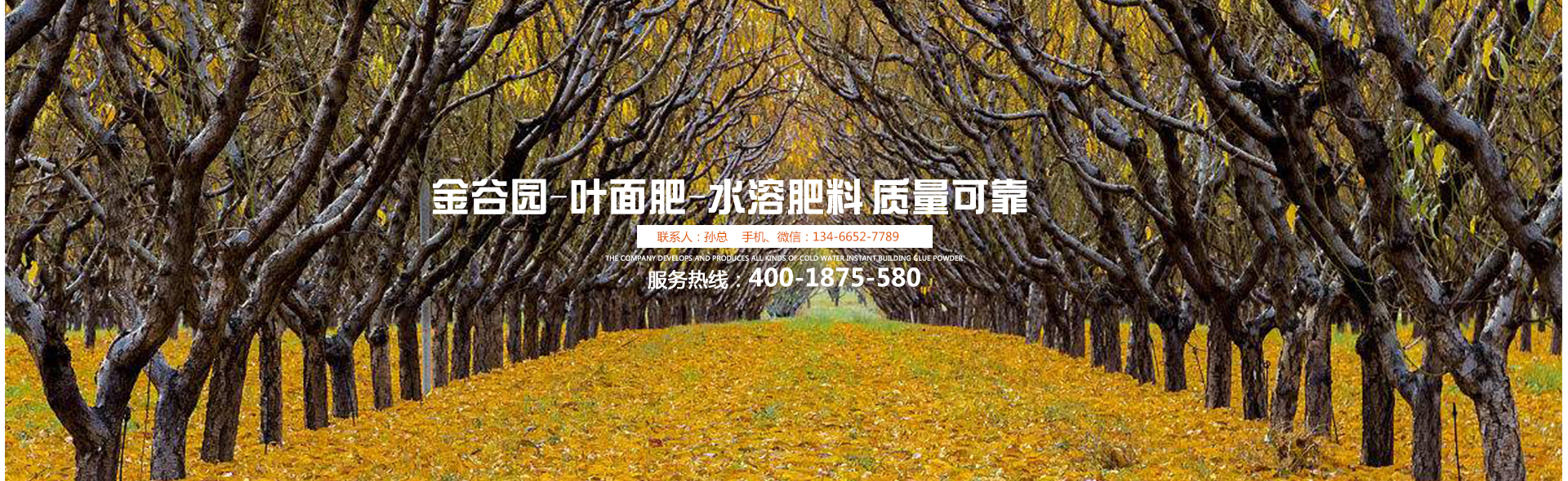 金谷園-葉面肥-水溶肥料